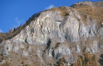 ../images/home/017.jpg ../images/home/017.jpg