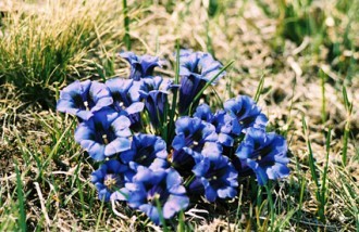 ../images/home/019.jpg ../images/home/019.jpg