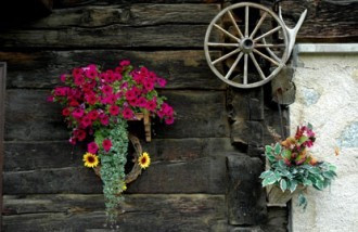 ../images/home/3084_livigno_fiori.jpg ../images/home/3084_livigno_fiori.jpg